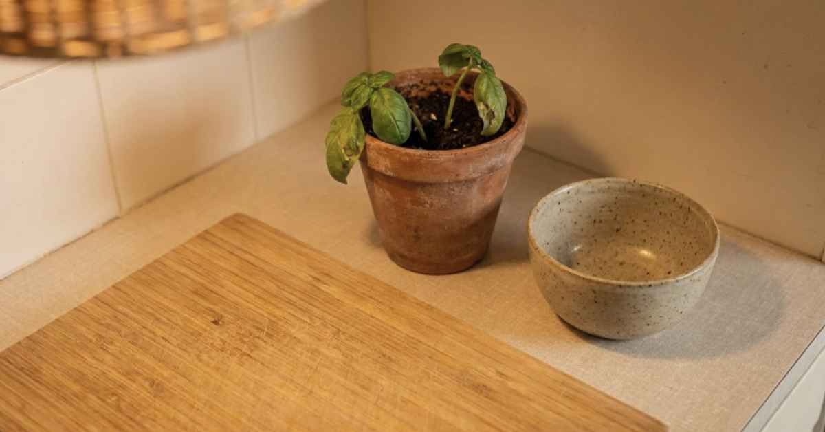 Japandi kitchen counter styled with only three objects — a bamboo chopping board, a terracotta basil pot and a hand-thrown stoneware bowl — under warm under-shelf light